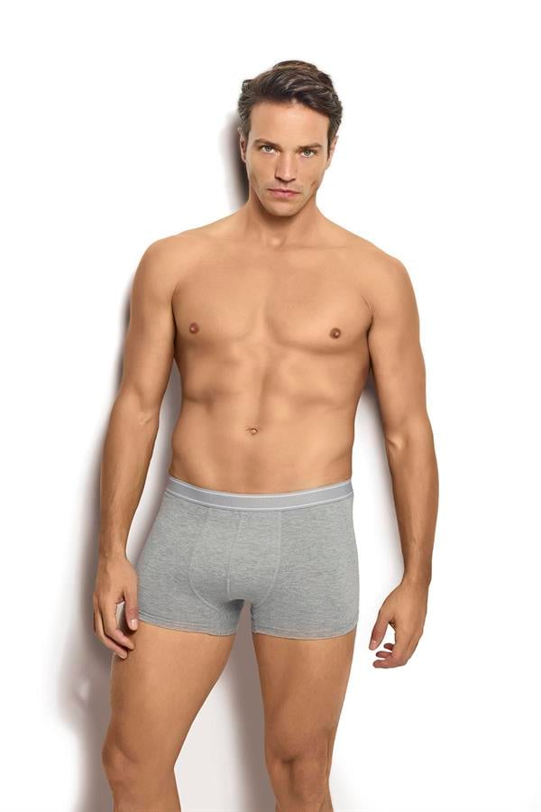 Erkek Likralı Boxer 277 Grimelanj  JBR277.0000001