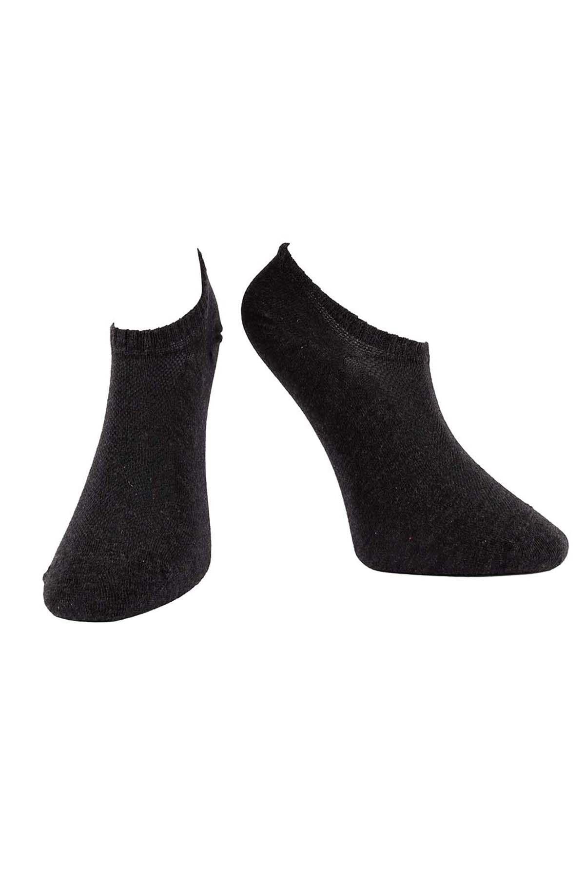 Erkek Antrasit Pamuklu  Sneaker Çorap 7701
