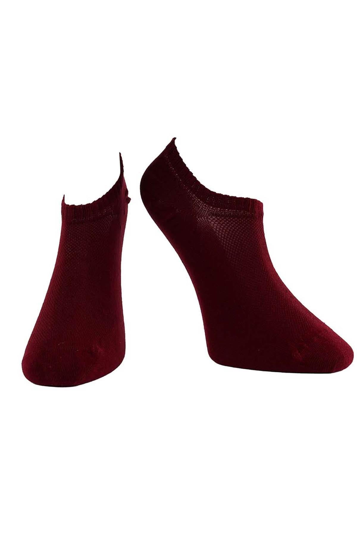 Erkek Bordo Pamuklu  Sneaker Çorap 7701