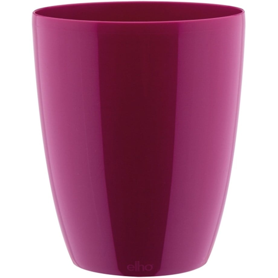 BRUSSELS DIAMOND ORCHID HIGH 12,5 cm KIRAZ