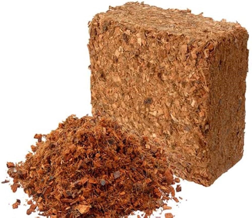 HİNDİSTAN CEVİZİ KABUĞU CIPS (COCOPEAT)