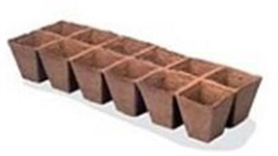 JIFFY 6cmx6cm 12 GÖZLÜ TORF SAKSI 10 adet