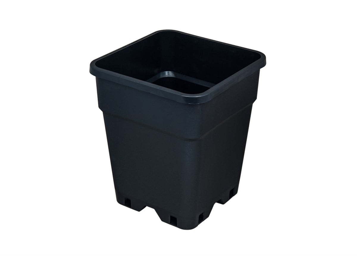 KARE SAKSI 0.5 litre 10 adet