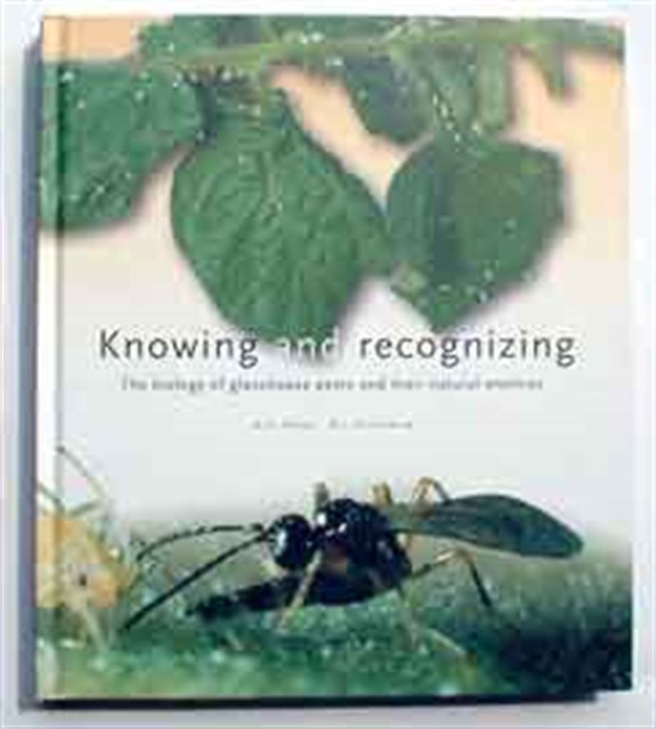 Knowing and recognizing