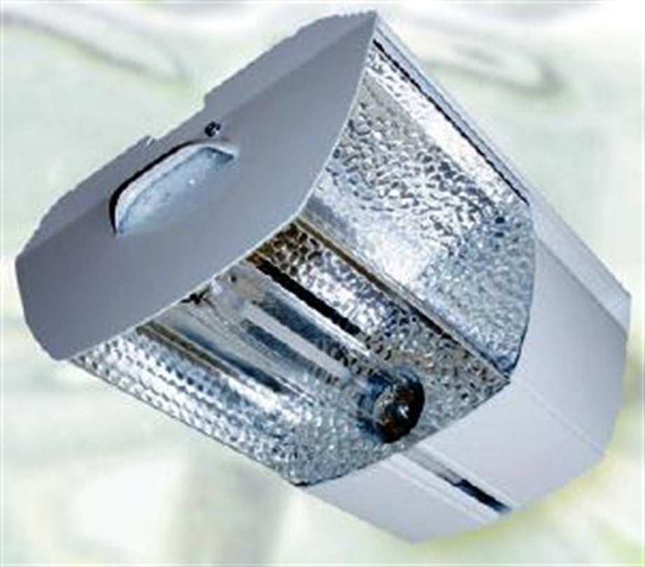 PAPILLON ARMATUR VE AMPUL