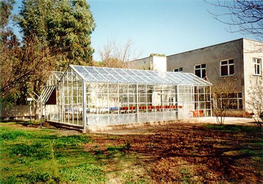 T67 CAM ÖRTÜLÜ SERA