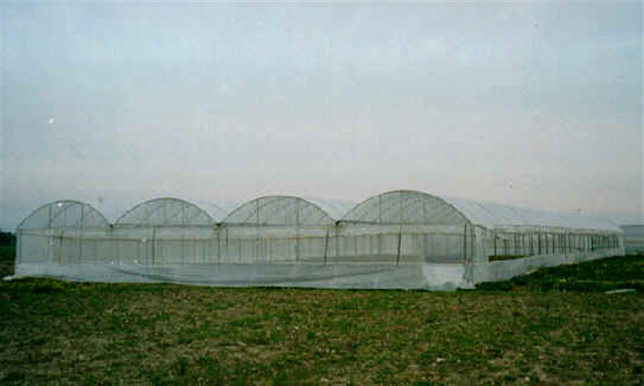 TP600 PLASTİK ÖRTÜLÜ SERA