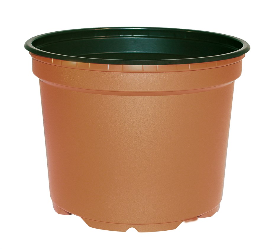 VCD 15  TOPRAK/SİYAH 10 adet