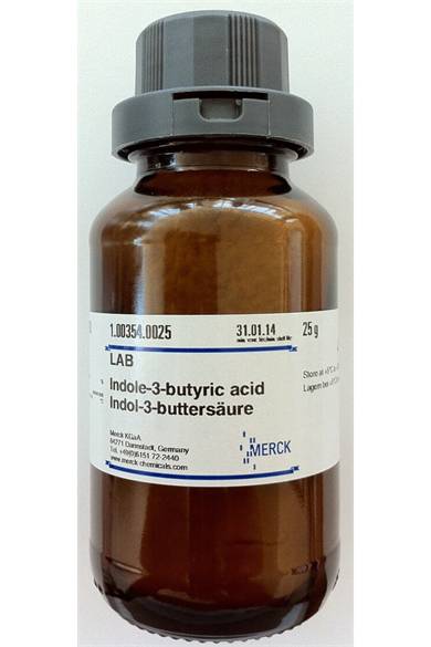 İNDOL BUTİRİK ASİT (IBA) 5gr