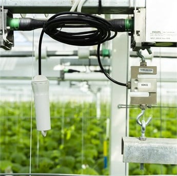 KABLOSUZ BİTKİ AĞIRLIĞI SENSÖRÜ