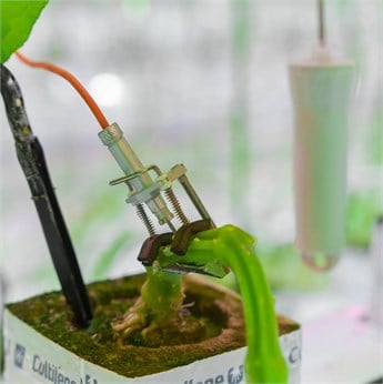 KABLOSUZ BİTKİ ÇAPI DEĞİŞİM SENSÖRÜ