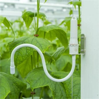 KABLOSUZ BİTKİ YÜZEY SICAKLIĞI SENSÖRÜ