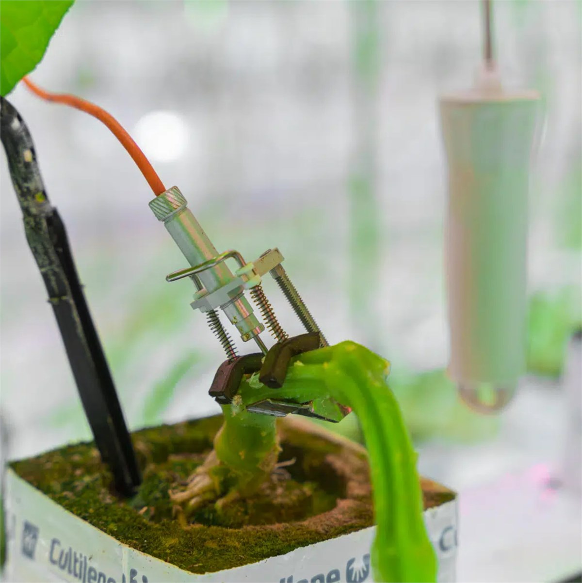 KABLOSUZ BİTKİ ÇAPI DEĞİŞİM SENSÖRÜ