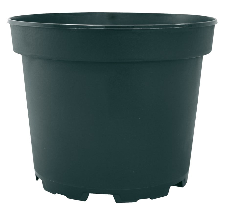 MCI 20  TOPRAK 10 adet