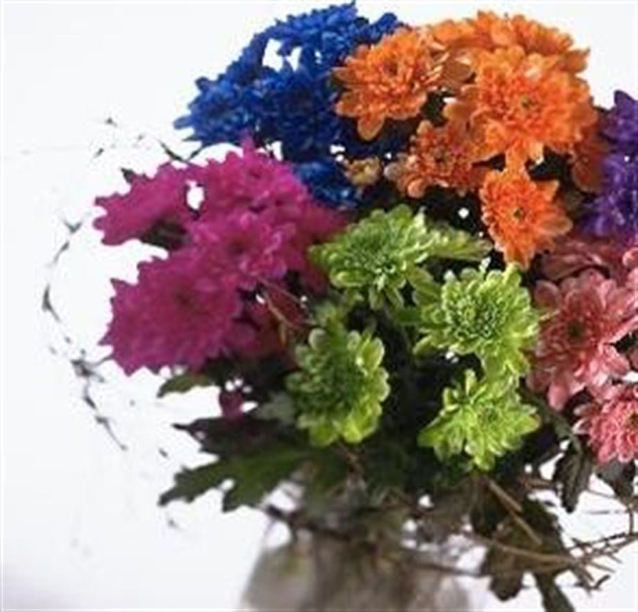 MOR ÇİÇEK BOYASI 100gr