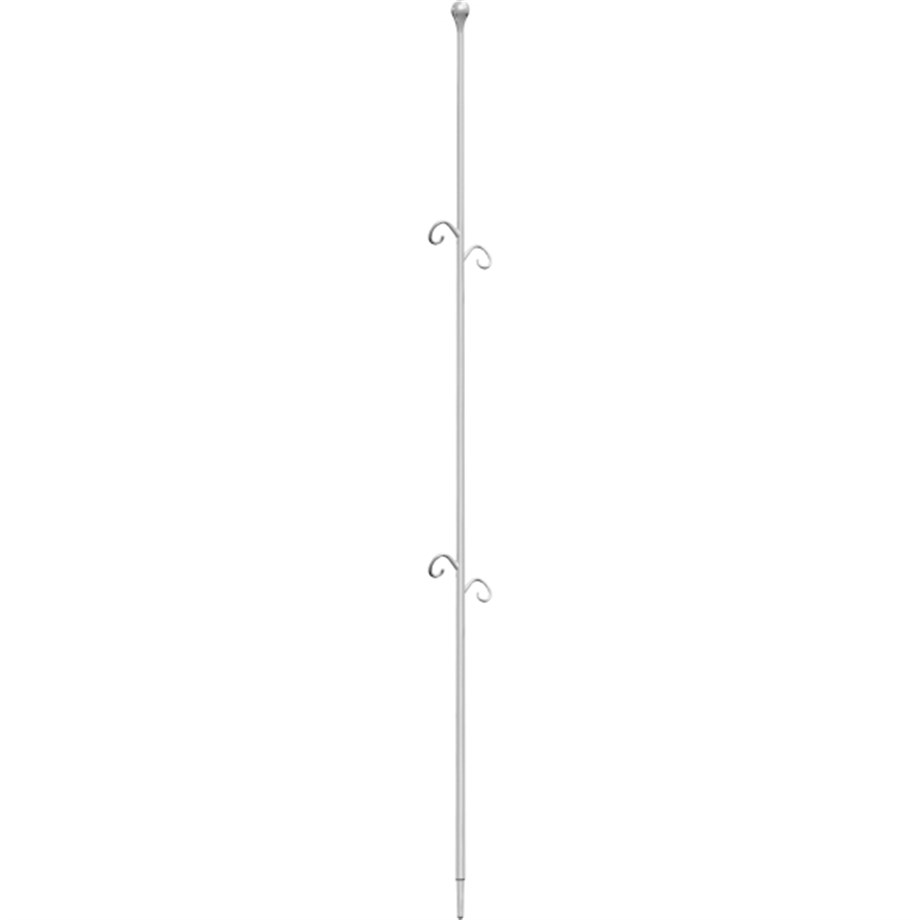 ORCHIDECO ELEGANCE ŞEFFAF