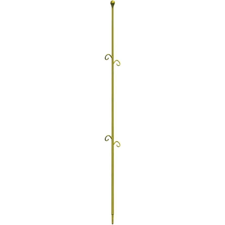 ORCHIDECO ELEGANCE YEŞİL