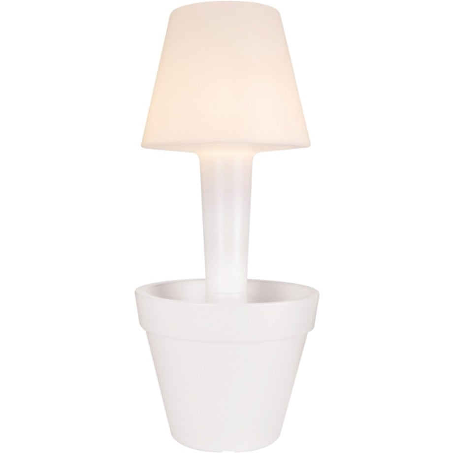 PURE TWILIGHT50 cm ŞEFFAF