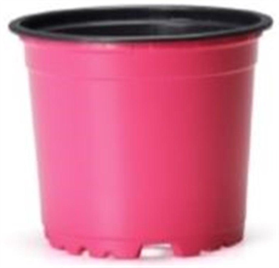 VCG 10.5 PEMBE 10 adet