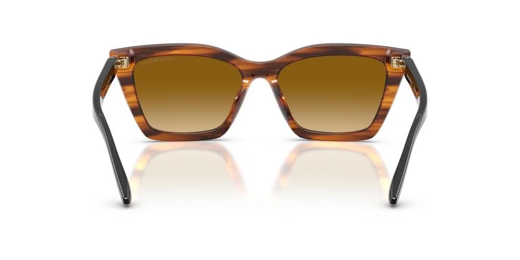 Emporio Armani 0EA4250U 62682L 54 Asetat Kadın Güneş Gözlüğü