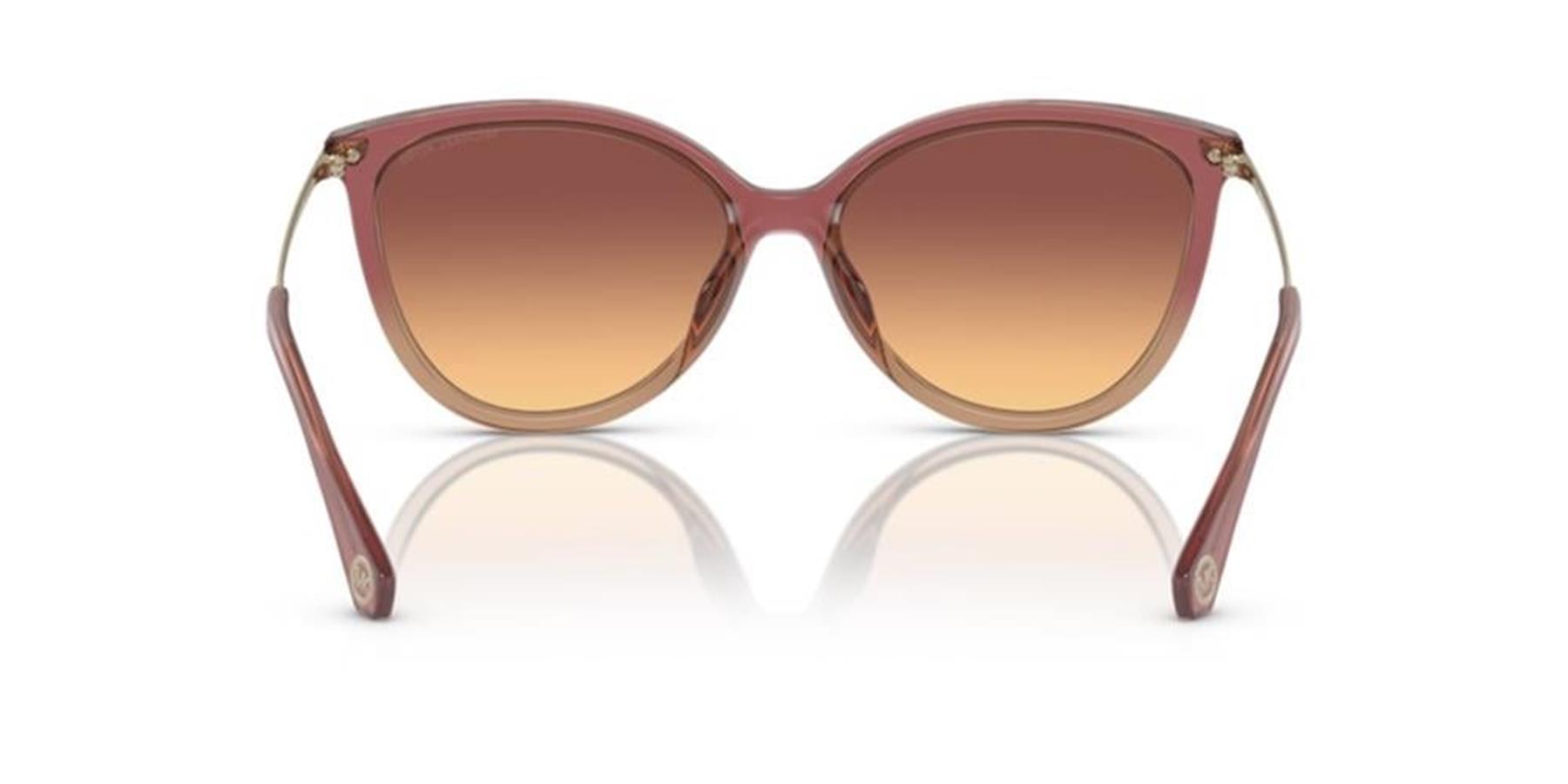 Michael Kors MK2184U 325678 58 Kadın Güneş Gözlüğü