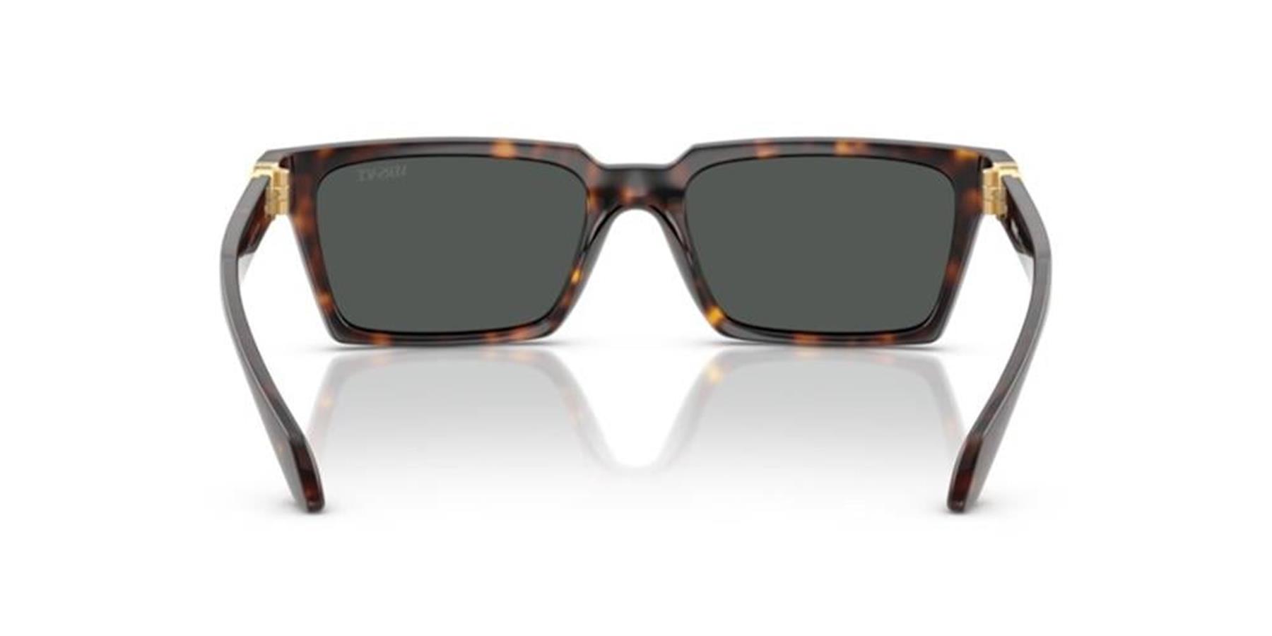 Versace 0VE4490U 108/87 55 Enjeksiyon Erkek Güneş Gözlüğü