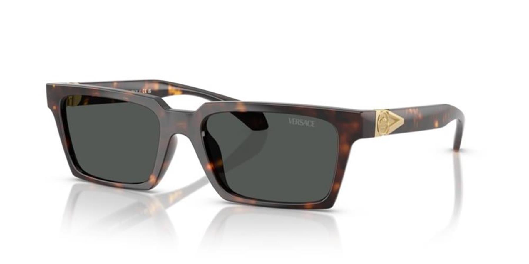 Versace 0VE4490U 108/87 55 Enjeksiyon Erkek Güneş Gözlüğü