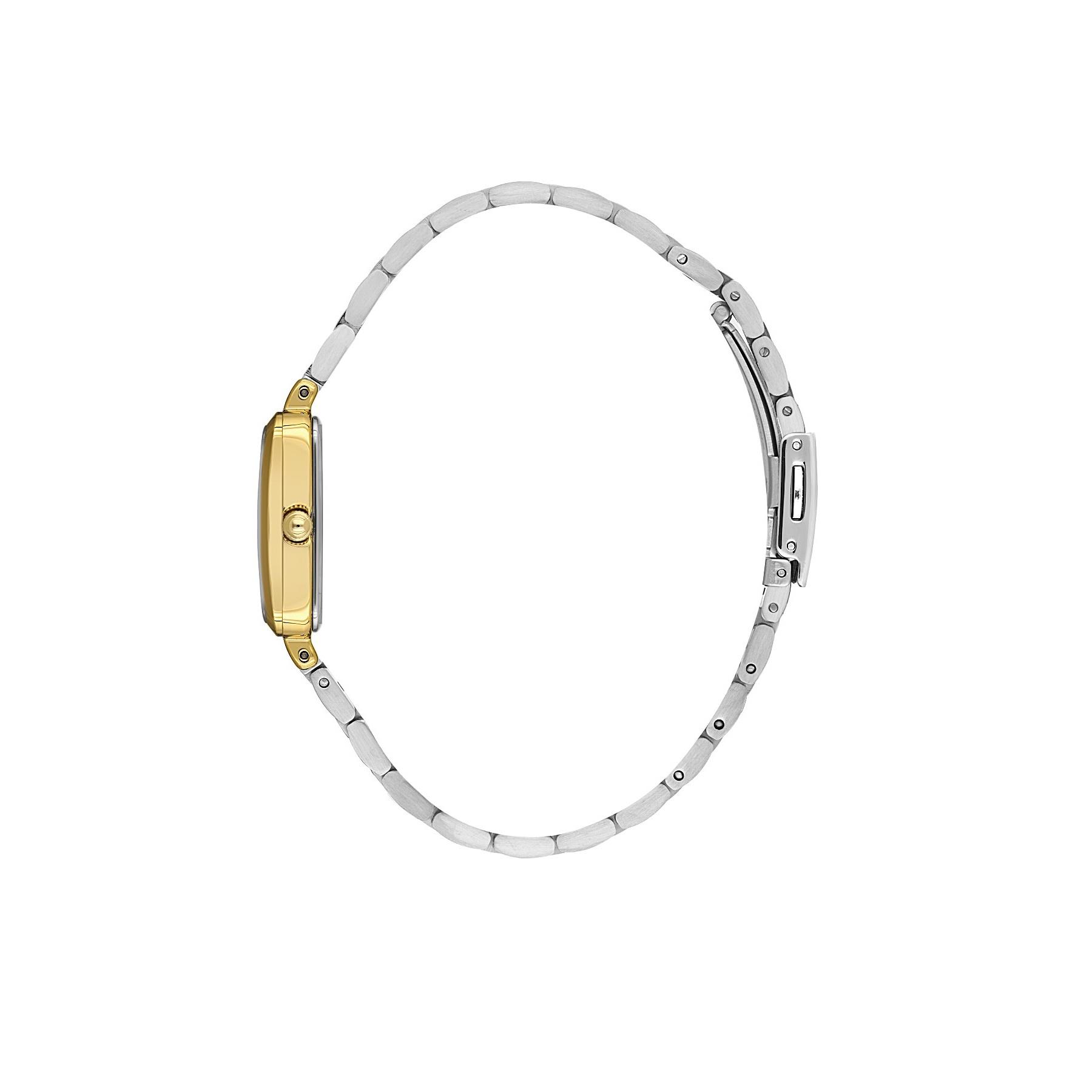 Daniel Klein DKE.1.10866-4 Kadın Kol Saati