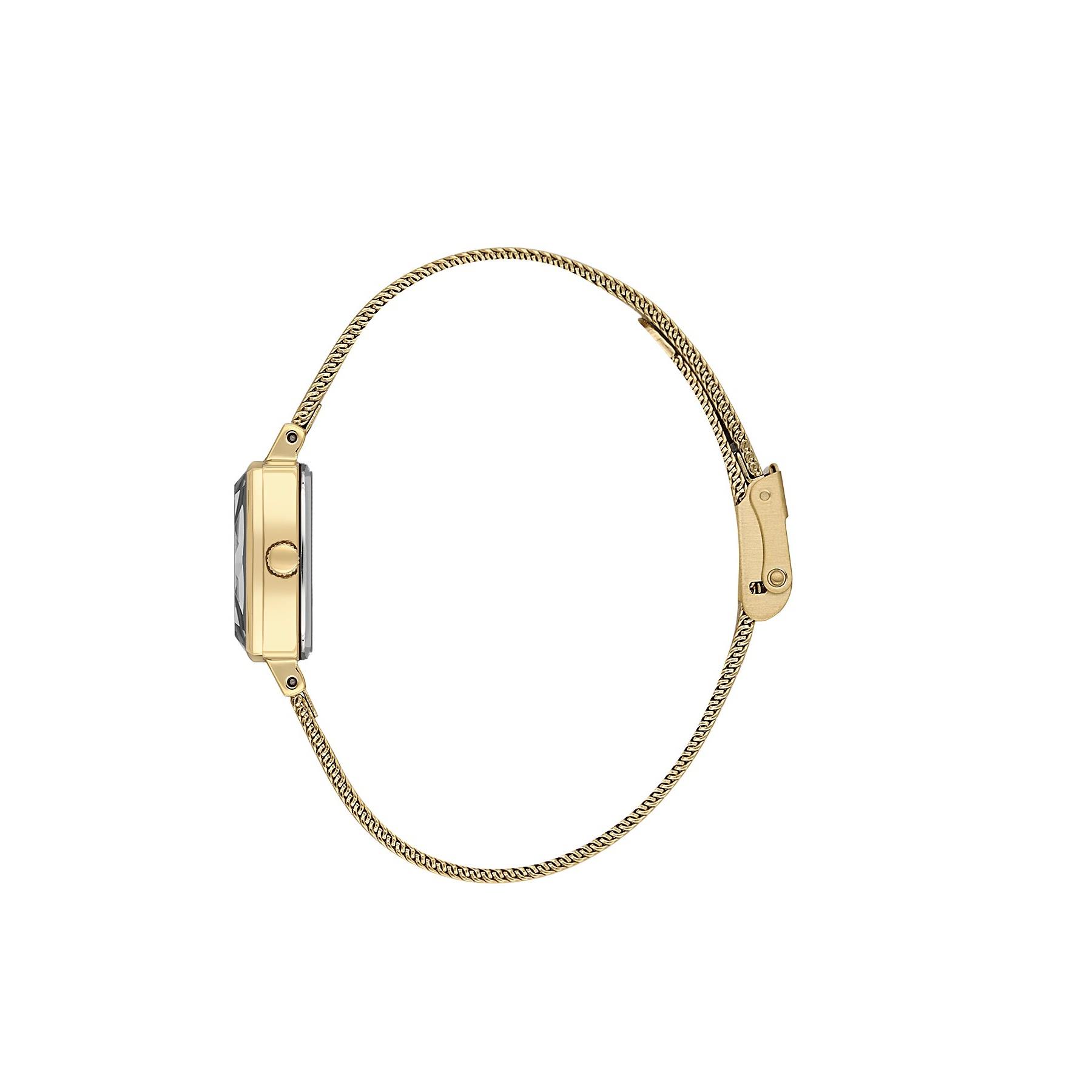 Daniel Klein DKE.1.10853-3 Kadın Kol Saati