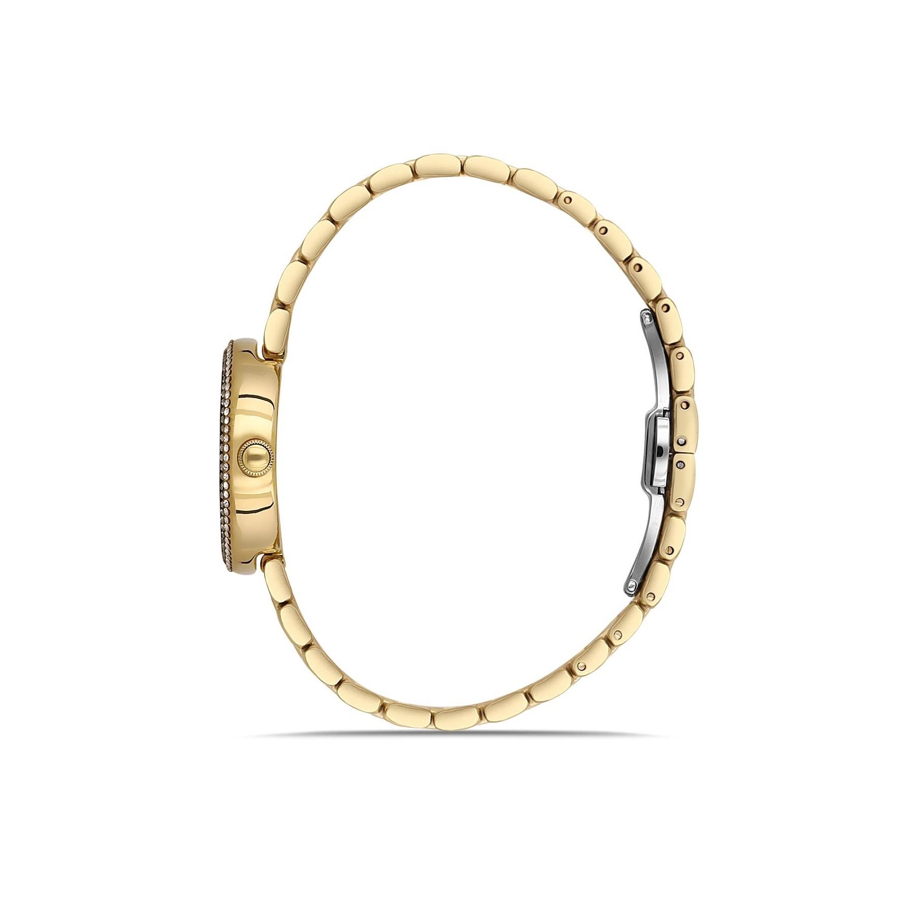 Dice Kayek DK.1.AG1397.05 Taşlı Kadın Kol Saati