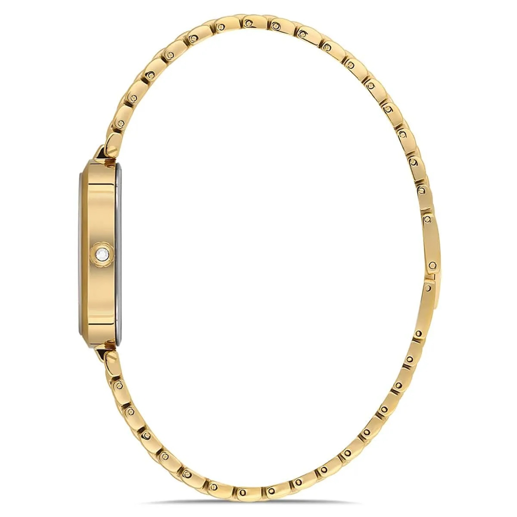 Laiza Single Loop LAI-1-1972-06 Kadın Kol Saati