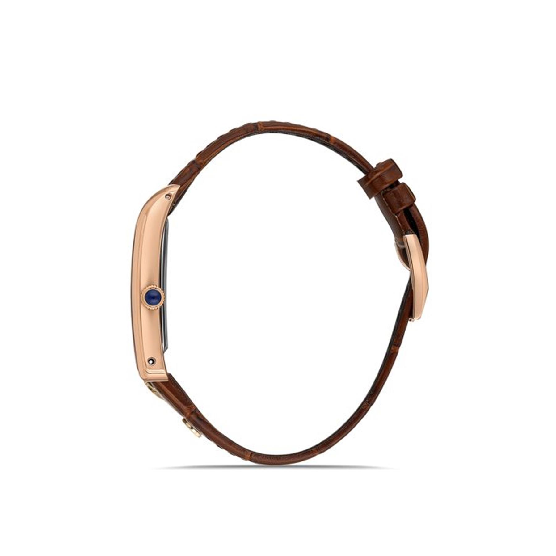 Momentus CM365R-02KR Erkek Kol Saati