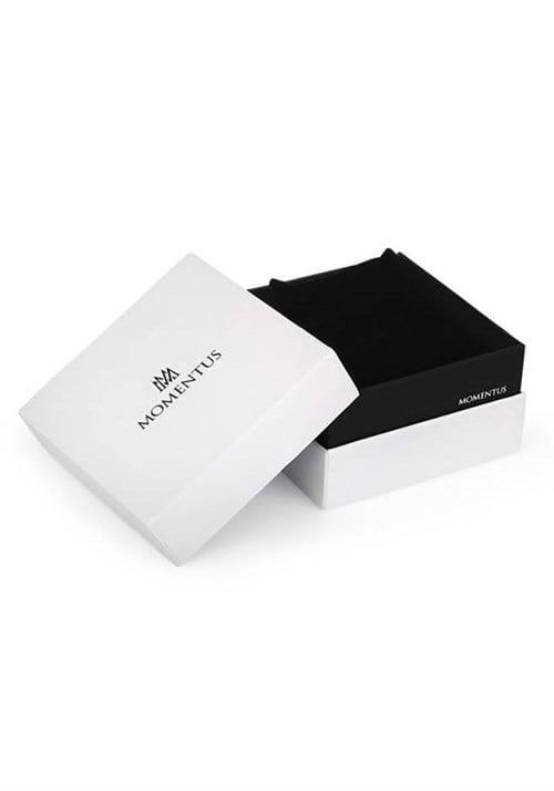 Momentus Sm359b-04ss Erkek Kol Saati