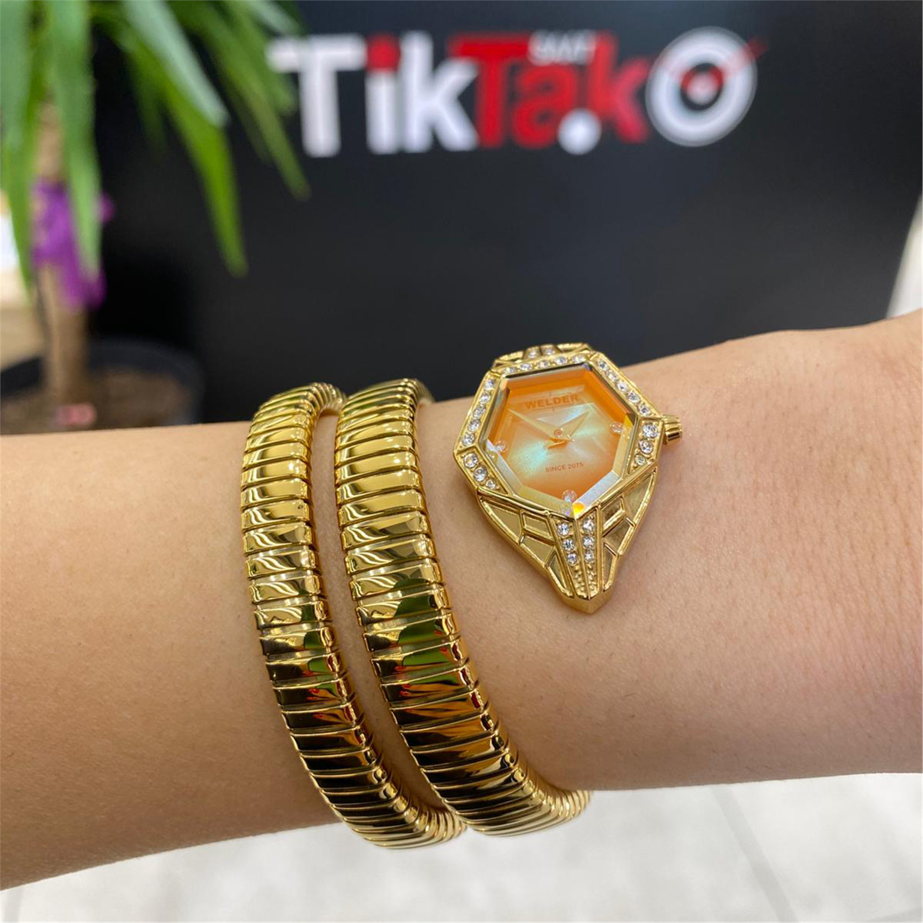 Welder WSN1001 Kadın Kol Saati