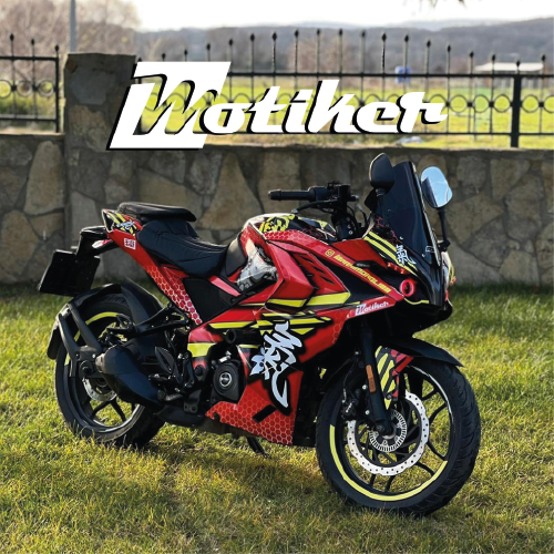 BAJAJ RS200 DOG KAPLAMA MODELİ 