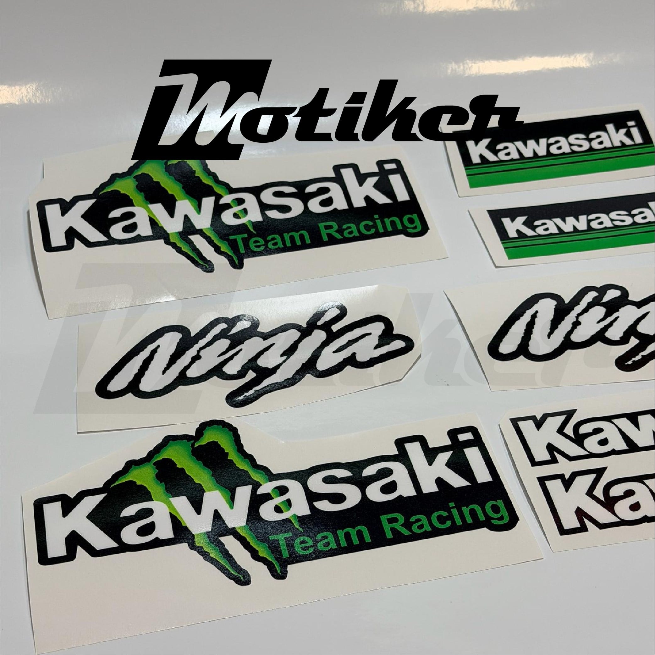 Kawasaki Ninja Sticker Etiket Model
