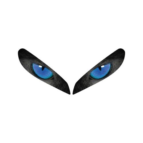 250SRCF Moto 250SR Göz Far Sticker Etiket Model Mavi