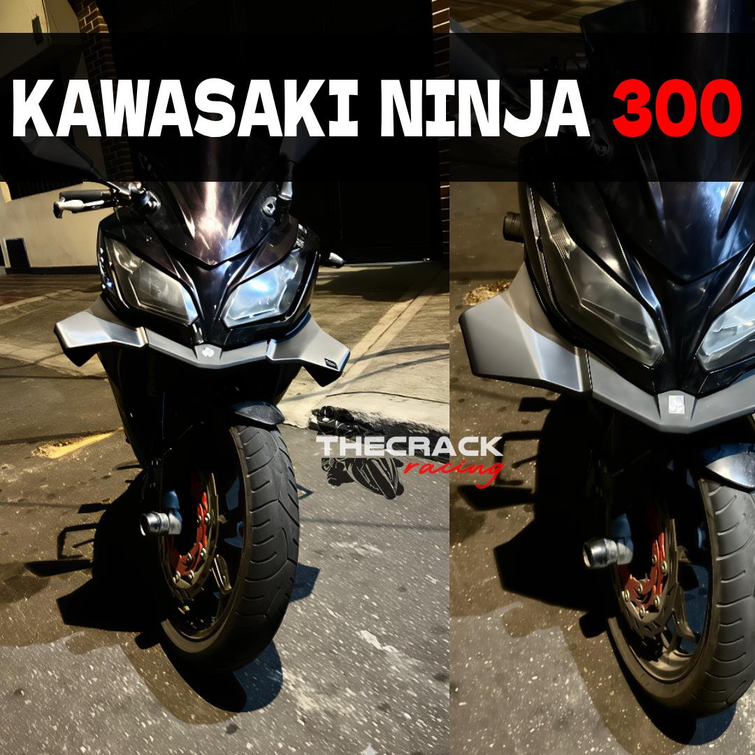 3D AksesuarKawasaki 300 Spoiler / Winglet