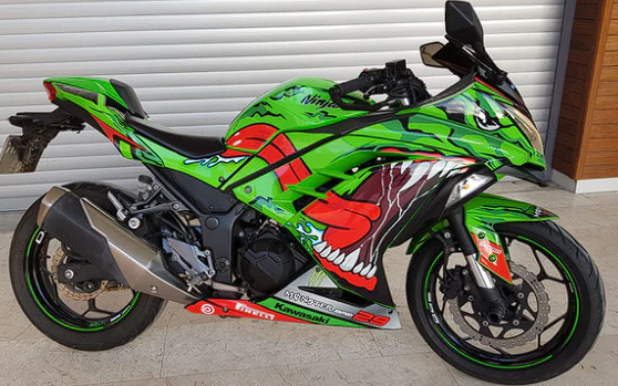 Kawasaki Ninja300 Kaplama Modeli 