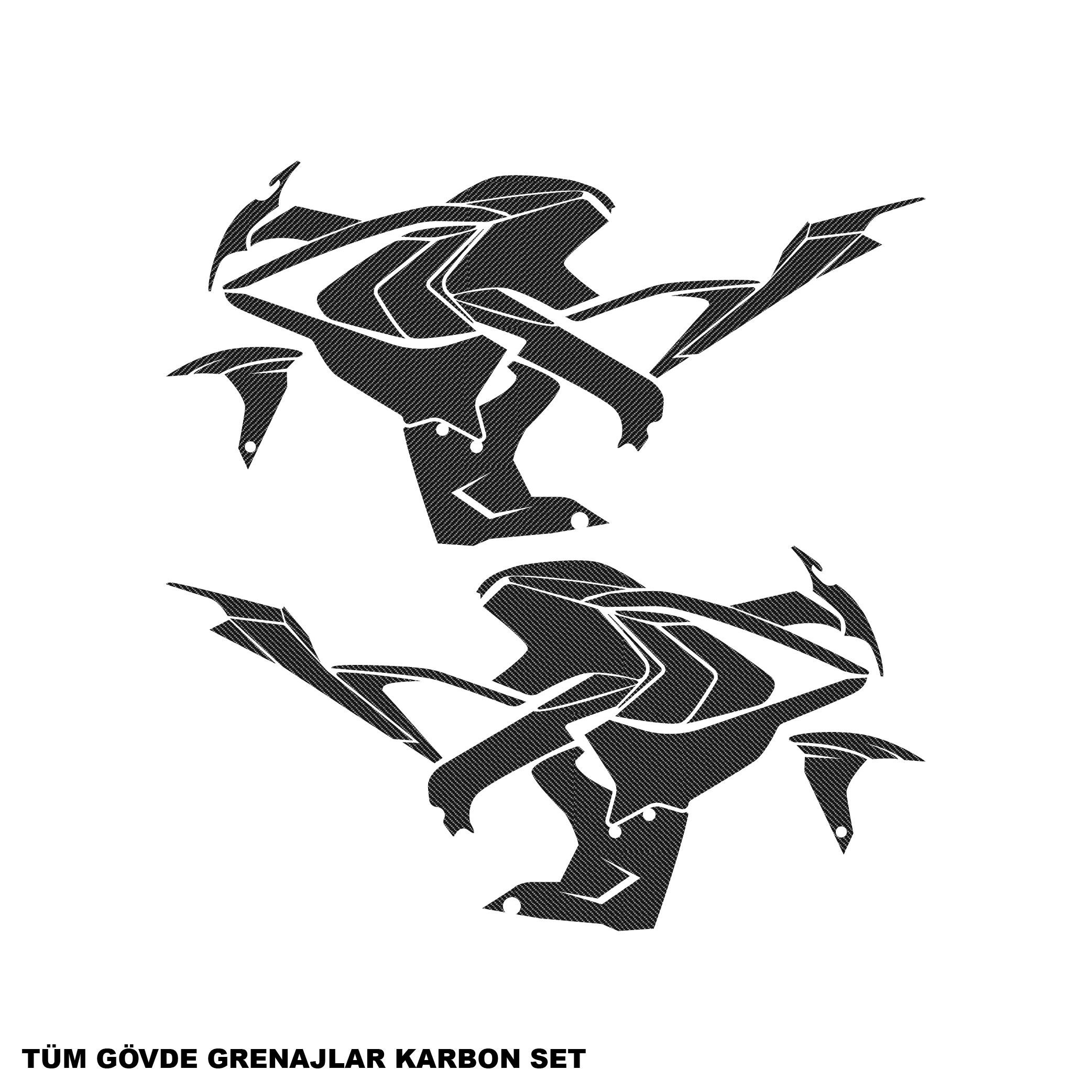 PULSAR RS 200BAJAJ RS200 KARBON STICKER SET KOMPLE PARÇALI KAPLAMA ETİKET MODELİ