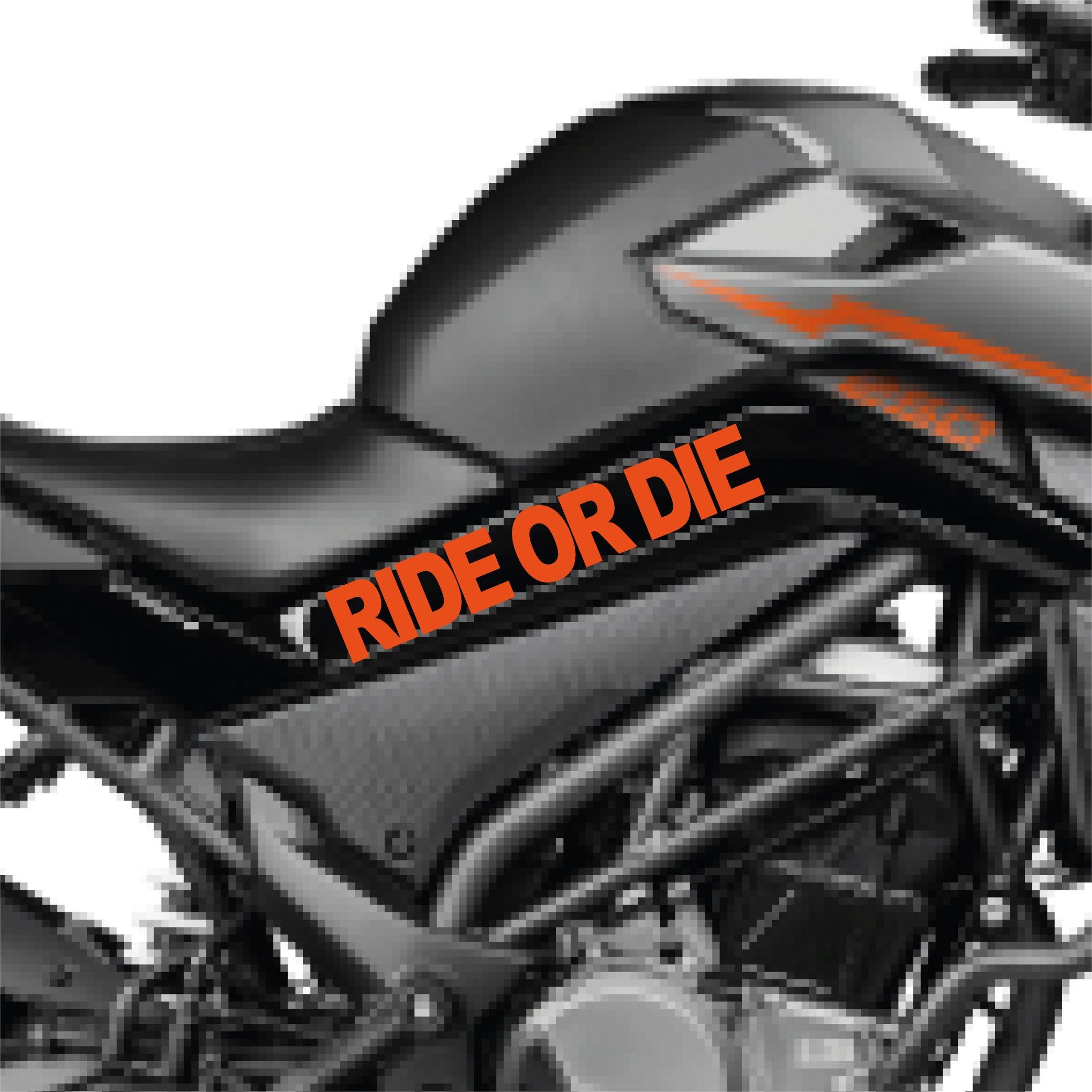 250 NKCFMOTO 250 NK Ride Or Die Orta Şase Tasarım Motosiklet Sticker Etiket Modeli Turuncu