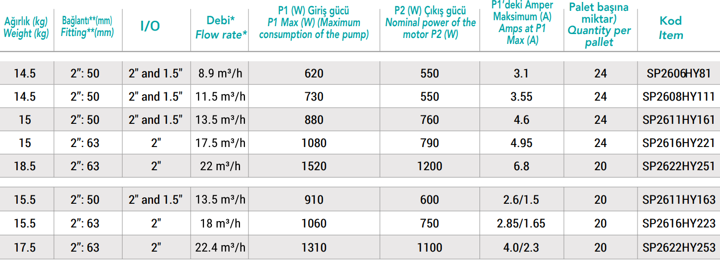 Hayward Super Pump Pro Havuz Pompası