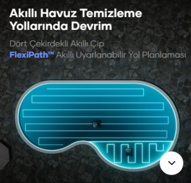 Güçlü Emişli Havuz Robotu