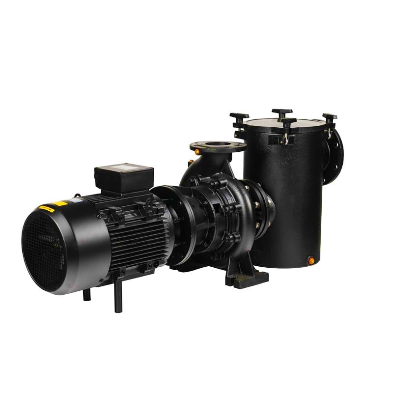 Aral Plus C-1500 Havuz Pompası