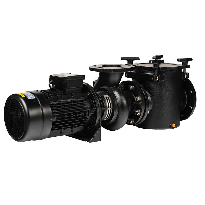 Aral Plus C-3000 Havuz Pompası