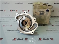 DEVIRDAIM 3.0L 300C-WH-OPAR-CHRYSLER