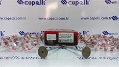 (146E013550-1) EMME-EGZOS SUBAP TK. DUCATO 2.3 MULTIJET 120 16V COMMONRAIL(F1AE0481D) 504069199-WAX-FIAT