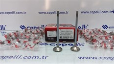 (146E013550-1) EMME-EGZOS SUBAP TK. DUCATO 2.3 MULTIJET 120 16V COMMONRAIL(F1AE0481D) 504069199-WAX-FIAT