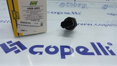 (HRM.4003)SENSOR,ENJEKSIYON BORU 1.3-HELLUX-FIAT