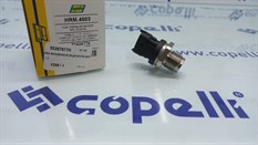 (HRM.4003)SENSOR,ENJEKSIYON BORU 1.3-HELLUX-FIAT